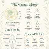 Cellular Remineralizer                                                                                      Net Wt. 249.896g (8.45 oz.)