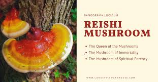 Reishi Vitality Spore Elixir™  Net 1 fl. oz. (30 mL)